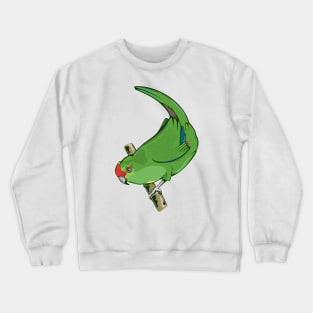 Red-crowned parakeet kakariki Crewneck Sweatshirt